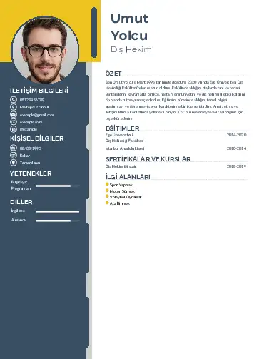 Diş Hekimi cv indir